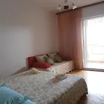 Apartman Smiljana *